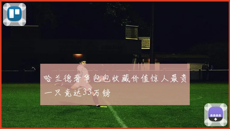 哈兰德奢华包包收藏价值惊人最贵一只竟达33万镑